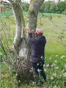 Balisage des Chemins- Compostelle 28